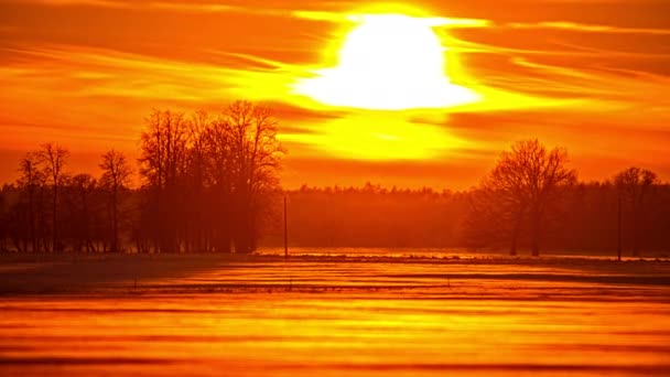 冬の牧草地の雪の表面に反射する明るいオレンジ色の夕日 タイムラプスショット — ストック動画