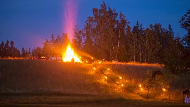 Bir Grup Insanın Gece Büyük Bir Kamp Ateşi Etrafında Doğada — Stok video