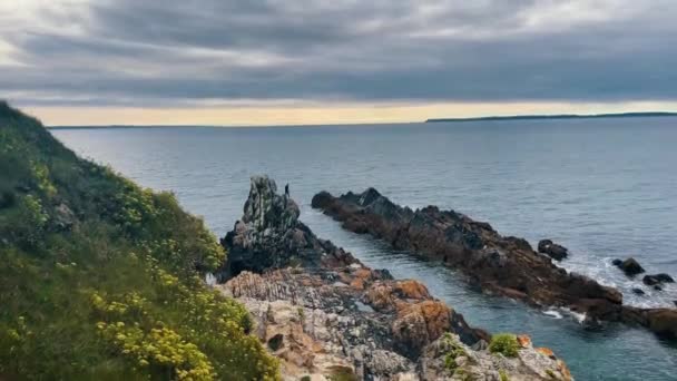 Jovem Cara Topo Rocha Pulando Água Falésias Oceano Atlântico Brittany — Vídeo de Stock