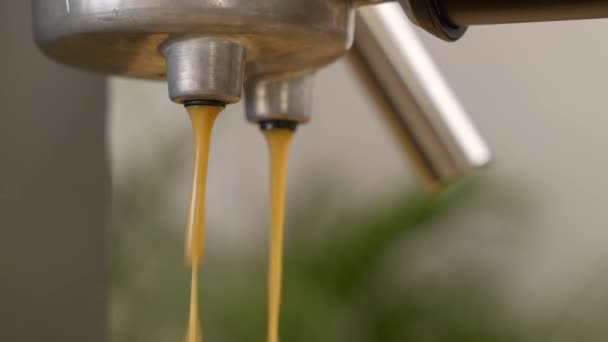 Macro Detalhe Tiro Café Expresso Fluindo Para Fora Máquina Café — Vídeo de Stock