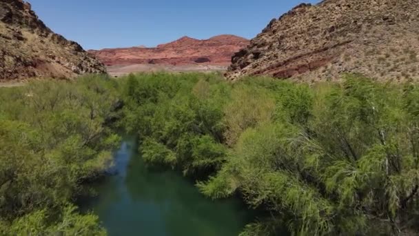 ウズラ貯水池レクリエーションエリア ユタ州 砂漠の風景の中に緑の木と湖の水の空中ビュー ドローンショット — ストック動画