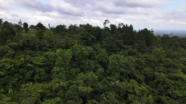 厚い熱帯雨林と中央アメリカの丘の上の建物で覆われた山の周りを周回するドローン 本格的なコスタリカの生活の概念の映画的な4Kの空撮 — ストック動画