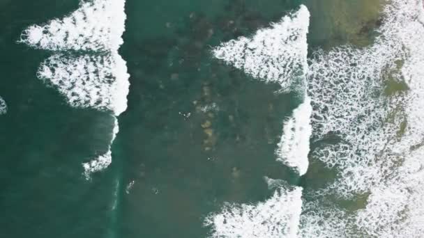 Sörfçülerin Dalgaların Yukarıdan Aşağı Görüntüsü — Stok video