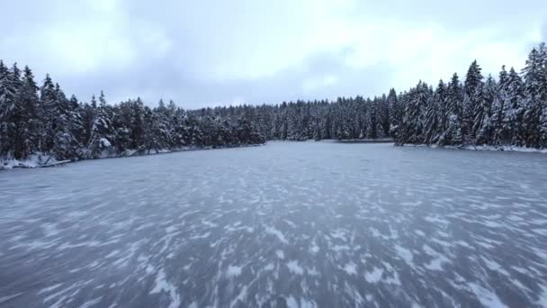 Winterwunderland Gefrorener Eissee Schneebedeckte Bäume Einem Bewölkten Nachmittag Über Dem — Stockvideo