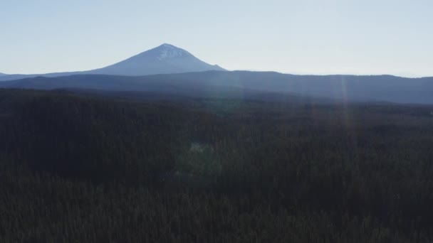 Vliegen Dennenbos Heldere Zonnige Dag Met Mount Mcloughlin Achtergrond Oregon — Stockvideo