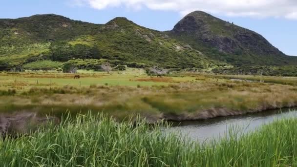 Panorama Belle Chaîne Montagnes Champ Agricole Pour Animaux Petite Rivière — Video