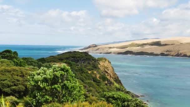 Belas Plantas Verdes Dunas Areia Costa Kauri Águas Tropicais Oceano — Vídeo de Stock