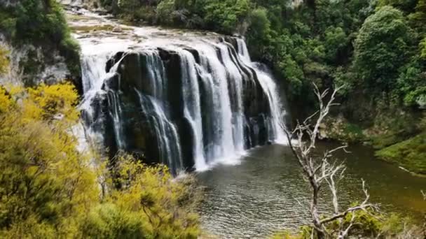 Vacker Jätte Waihi Falls Faller Ner Naturliga Stream Dagtid Hösten — Stockvideo
