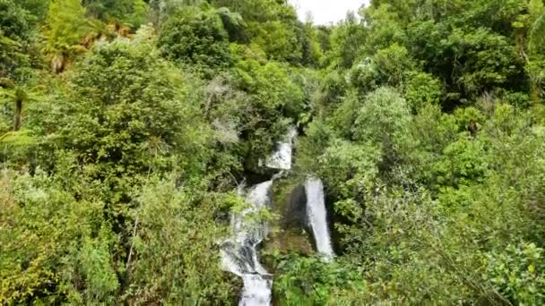 Gebogen Schot Van Mooie Rustige Water Stroomt Bergafwaarts Groene Bos — Stockvideo