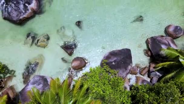 Seychelles Digue Snorkeling Marine Park7 Mp4 — стоковое видео