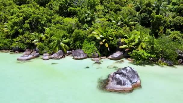 Seychelles Digue Snorkeling Marine Park4 Mp4 — Vídeo de Stock