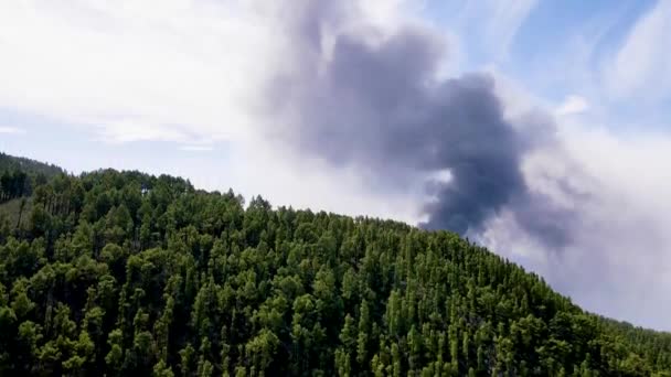 Drone Aéreo Volcánico Palma — Vídeos de Stock