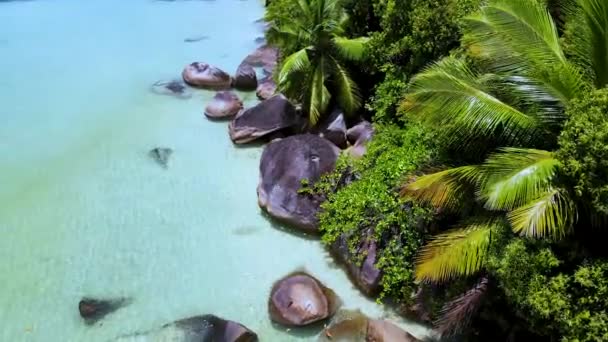Seychellerna Digue Snorkling Marine Park6 Mp4 — Stockvideo