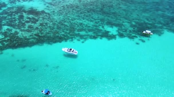 Seychelles Digue Snorkeling Marine Park2 Mp4 — Vídeos de Stock