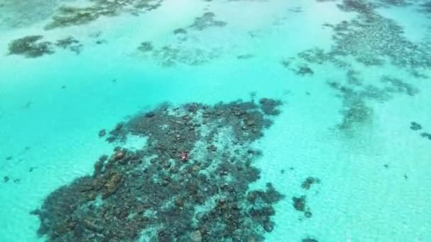 Seychelles Digue Snorkeling Couple Aerial Drone1 Mp4 — стоковое видео