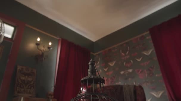 Blick Auf Alte Vogelkäfige Einem Bunten Raum Mit Dekorativen Wänden — Stockvideo