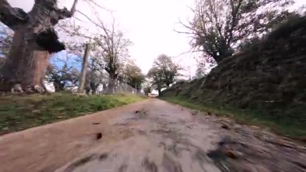 低地面に高速Fpvドローンは 牧歌的な国の道路上を飛んで — ストック動画