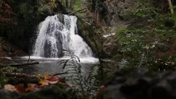 Una Splendida Cascata Fairy Glen Falls Scozia Ancora Sparato — Video Stock