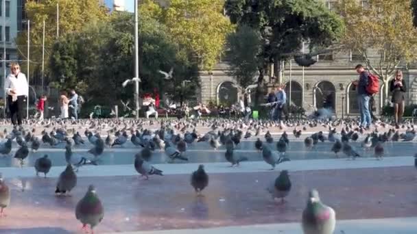 Turistler Yürürken Kameraya Doğru Uçan Güvercinlerle Dolu Barcelona Meydanı — Stok video