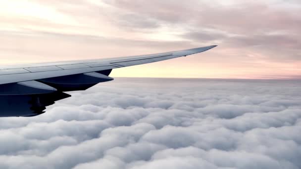 航空機の窓からのパフィー雲 — ストック動画