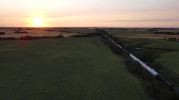 Grand Train Marchandises Immobilisé Dans Les Prairies Canadiennes Coucher Soleil — Video