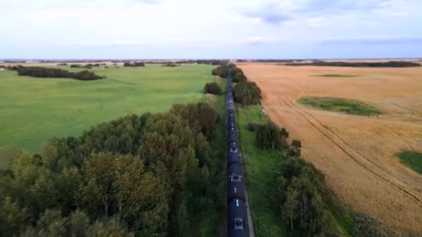 Drone Vliegt Boven Langs Een Stilstaande Goederentrein Het Noord Amerikaanse — Stockvideo