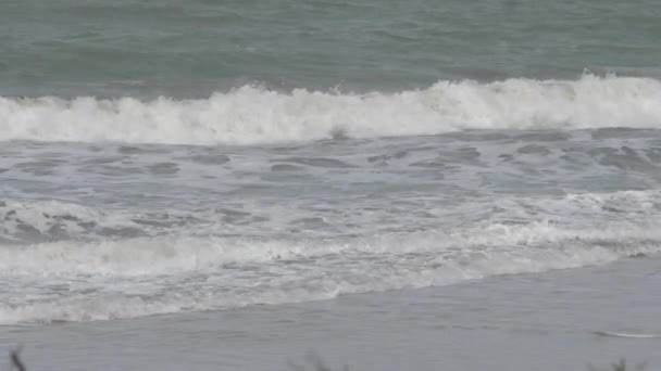 Vagues Océaniques Oak Beach Dans Queensland Australie Plan Large — Video