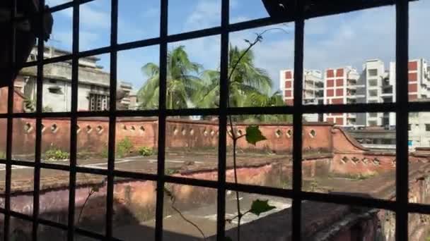 Ένα Αμπέλι Φυτρώνει Έξω Από Ένα Παλιό Κτίριο Μπαγκλαντές Νοτιοανατολική — Αρχείο Βίντεο