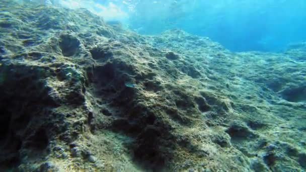 Zon Schijnt Door Helder Water Van Ionische Zee Het Eiland — Stockvideo