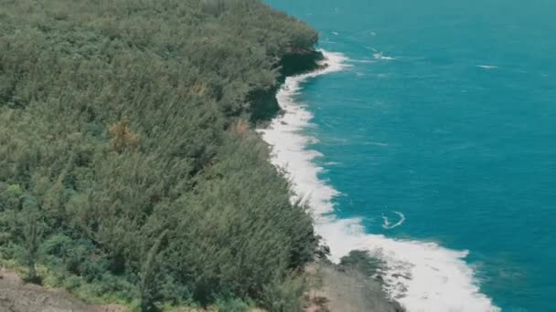 Τροπικό Δάσος Στην Ηφαιστειακή Ακτή Μπλε Ωκεανό Aerial Drone — Αρχείο Βίντεο