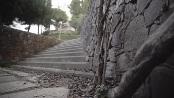 Fitness Běžec Lezení Kopce Barcelona Parku — Stock video