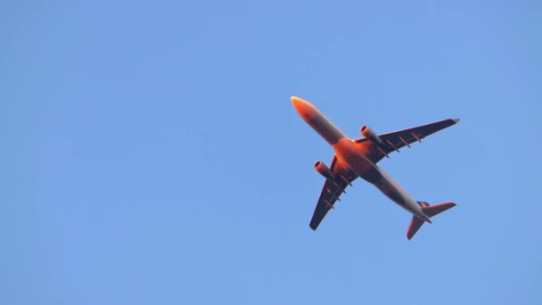Blick Wenn Ein Flugzeug Bei Blauem Himmel Über Dem Kopf — Stockvideo