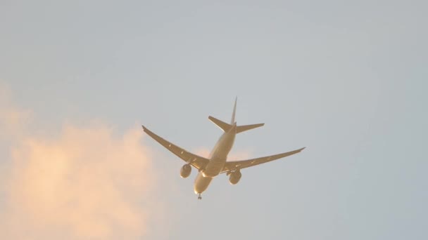 空港着陸のため降下中の旅客便の追跡ショット — ストック動画