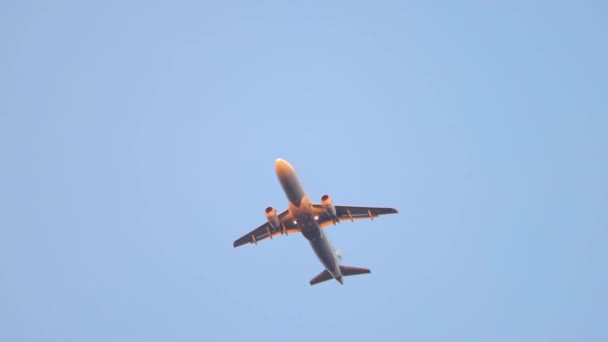 Overhead Passing Passenger Jet Airliner Blue Sky External Lights Twilight — Stock Video