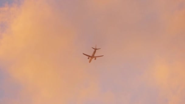 黄金の時間の間に曇った空を飛ぶ商業用ジェット飛行機 地上からの眺め 翼蒸気結露雲 — ストック動画