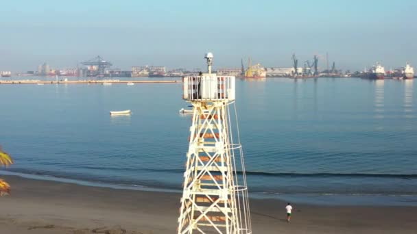 Disparo Vuelta Una Gaviota Pisando Frente Los Muelles — Vídeos de Stock