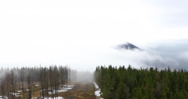 Nevoeiro Avançando Sobre Floresta Colinas Circundantes Durante Uma Tarde Ensolarada — Vídeo de Stock