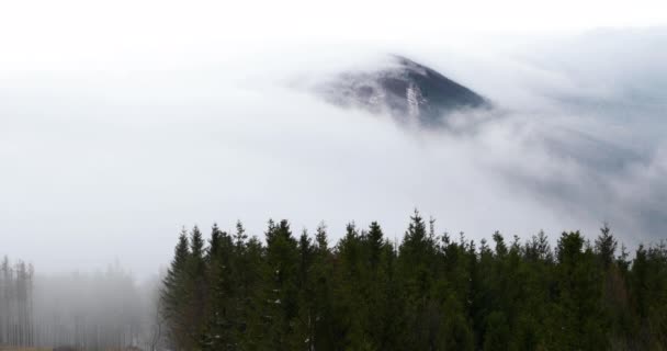 Fog Advancing Forest Surrounding Hills Sunny Afternoon — Stock Video