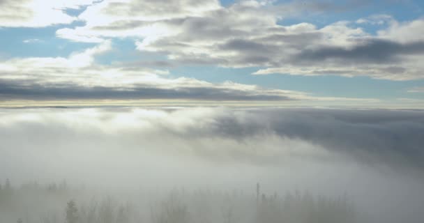 Fog Advancing Forest Surrounding Hills Sunny Afternoon — Stock Video