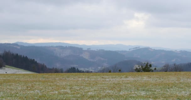 看到一片新雪缓缓飘落的田野 — 图库视频影像