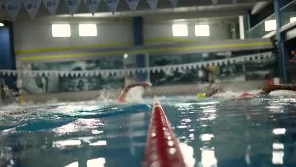 Atleti Che Nuotano Piscina Una Gara Triathlon Nuoto — Video Stock