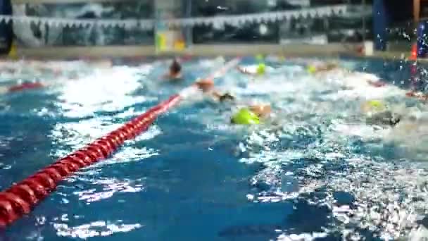 Κολυμβητές Στην Πισίνα Αγώνες Τριάθλου Και Υποβρύχια Κολύμβηση — Αρχείο Βίντεο