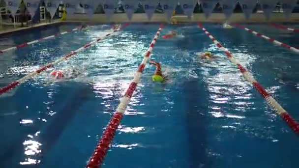 Κολυμβητές Στην Πισίνα Που Διαγωνίζονται Αγώνα Τριάθλου Και Στην Κολύμβηση — Αρχείο Βίντεο