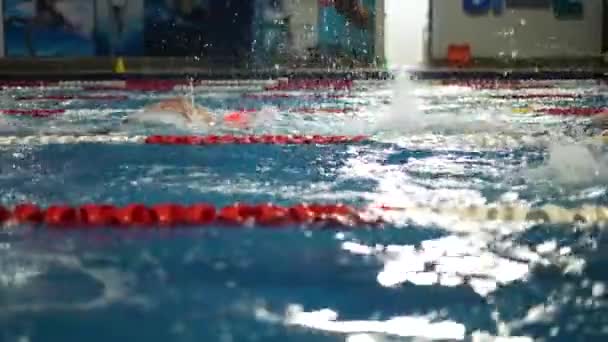 Zwemmers Het Zwembad Triatlon Race Zwemmen Het Water — Stockvideo