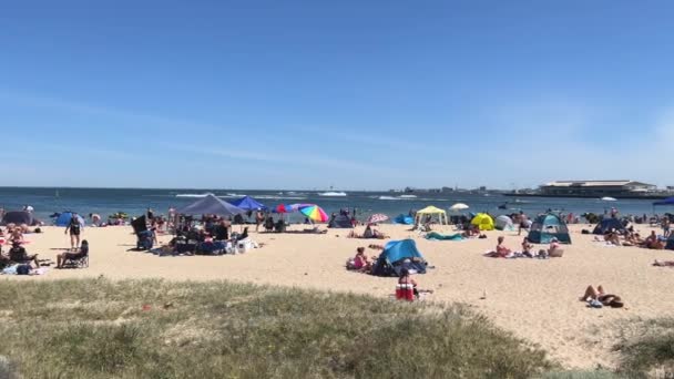 Zatłoczona Plaża Port Melbourne Australia Pan Strzał Rodzin Przyjaciół Cieszących — Wideo stockowe