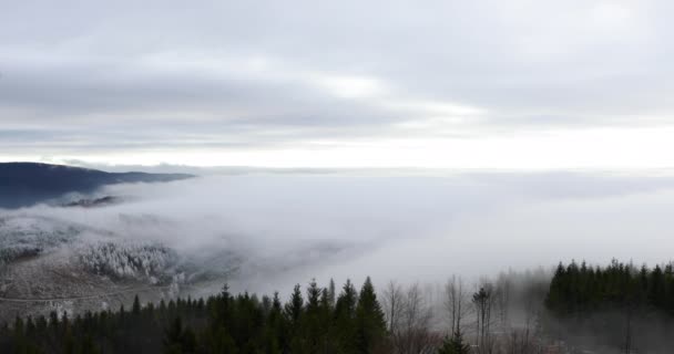 Nevoeiro Avançando Sobre Floresta Colinas Circundantes Durante Uma Tarde Ensolarada — Vídeo de Stock