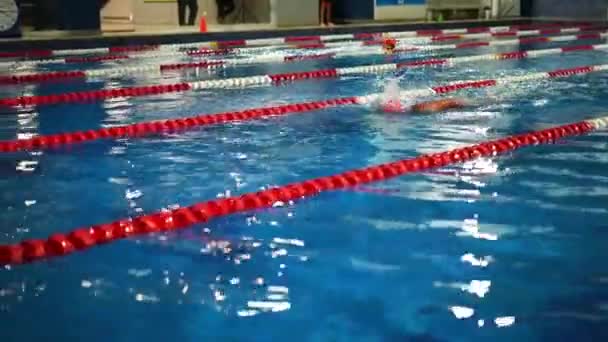 Άντρας Κολυμβητής Στην Πισίνα Επαγγελματίας Αθλητής Που Αγωνίζεται Χρησιμοποιώντας Front — Αρχείο Βίντεο