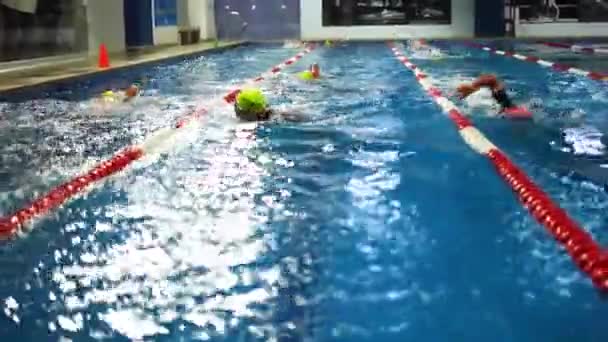 Nadadores Profissionais Competição Nadando Piscina Interior — Vídeo de Stock