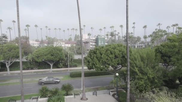 Aufsteigende Antenne Hotel Beverly Hills Zwischen Palmen Nebel Frühen Morgen — Stockvideo