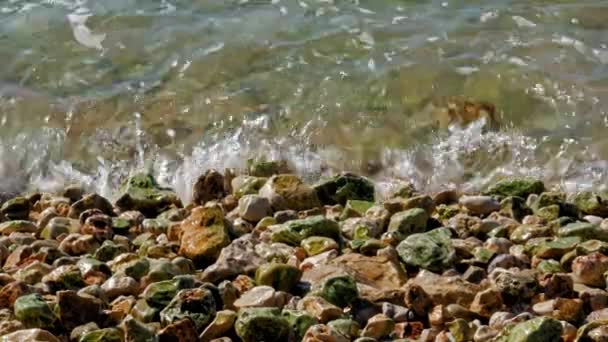 Waves Crash Rock Pebble Beach Jerusalem Beach Greece High Angle — Stock Video